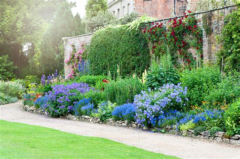 4 Plants Ideal For Borders